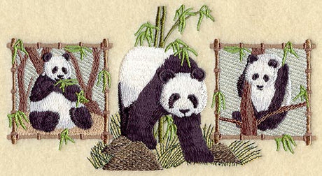 Panda Trio