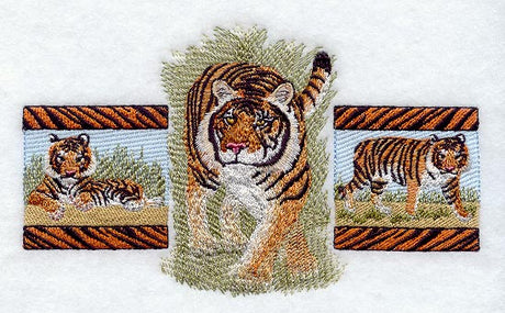 Bengal Tiger Trio
