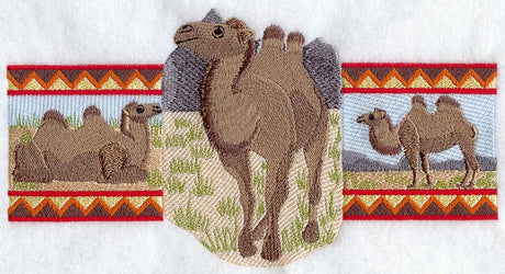 Bactrian Camel Trio