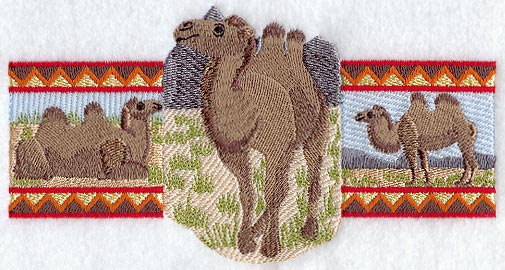 Bactrian Camel Trio
