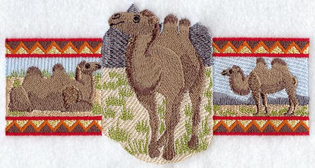 Bactrian Camel Trio