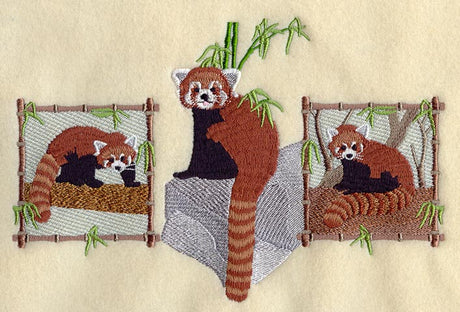 Red Panda Trio