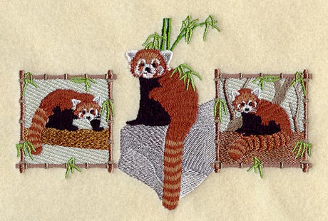 Red Panda Trio