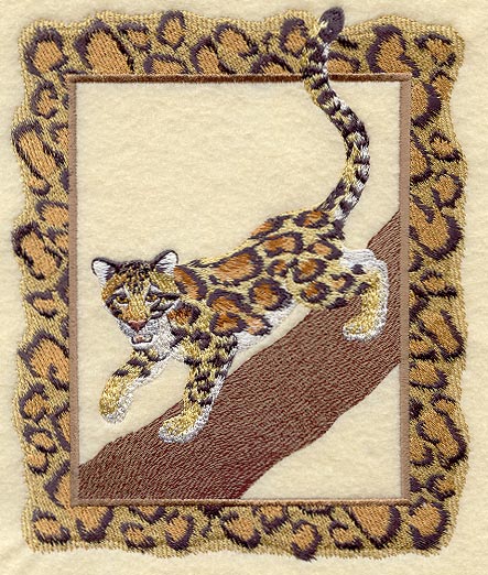 Clouded Leopard and Frame
