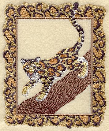 Clouded Leopard and Frame