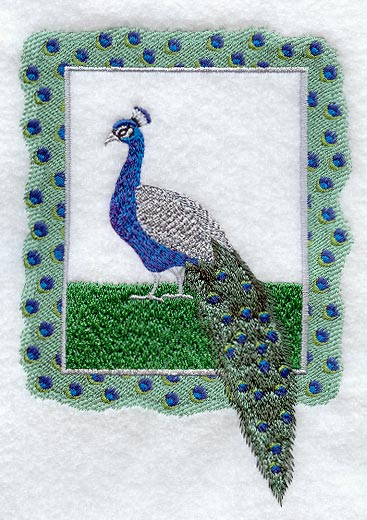 Peacock and Frame