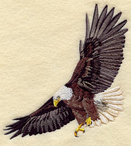 Flying Eagle II