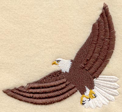 Eagle (Fringe)