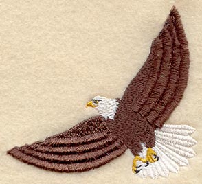 Eagle (Fringe)