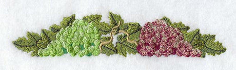 Wine Grape Border