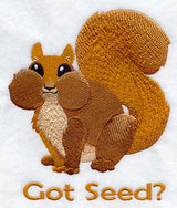 Got Seed? Squirrel