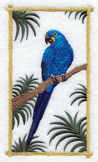 Hyacinth Macaw Panel