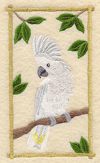 Umbrella Cockatoo Panel