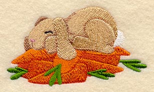Bunny and Carrots