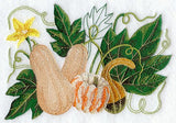 Squash Botanical