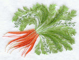 Carrot Botanical