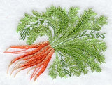 Carrot Botanical