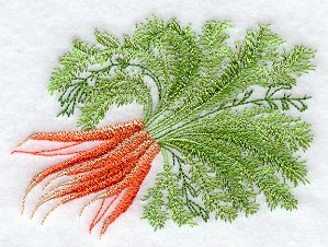 Carrot Botanical