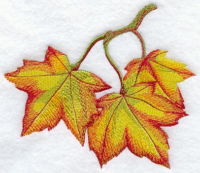 Maple Leaves in Watercolor