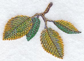 Elm Leaves in Watercolor