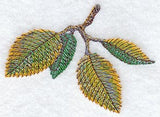 Elm Leaves in Watercolor