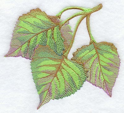 Cottonwood Leaves in Watercolor