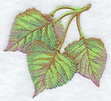 Cottonwood Leaves in Watercolor