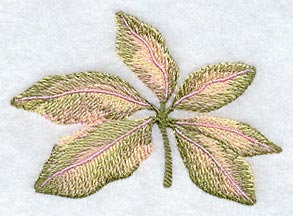 Magnolia Leaves in Watercolor