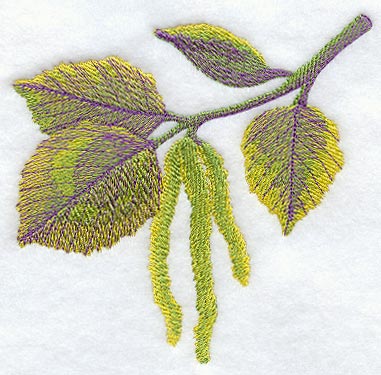 Birch Leaves in Watercolor
