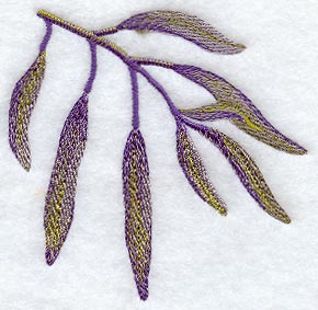 Russian Olive Leaves in Watercolor
