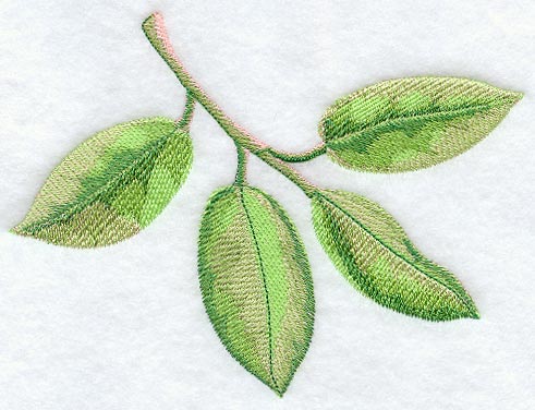 Apple Leaves in Watercolor