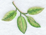 Apple Leaves in Watercolor