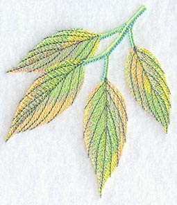Dogwood Leaves in Watercolor