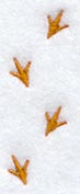 Rooster Tracks Button Placket