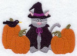 Witch Cat