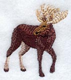 Woodland Moose