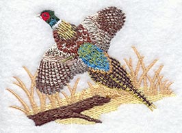 Flying Pheasant