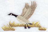 Flying Canada Goose
