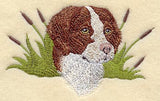 Brittany Spaniel Head