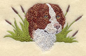 Brittany Spaniel Head