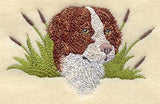 Brittany Spaniel Head