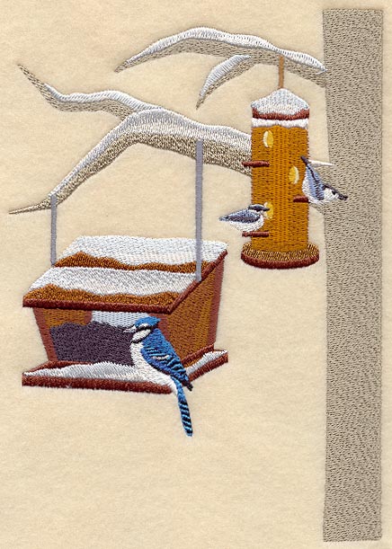 Winter Blue Jay and Nuthatches
