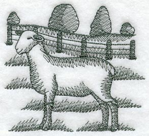 Sheep (Toile)
