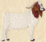 Boer Goat