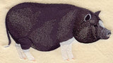 Potbelly Pig