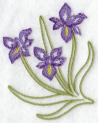 Iris Wedge - Lg (Mirror)