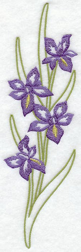 Iris Wedge Placket - Lg