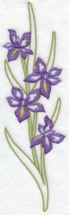 Iris Wedge Placket - Lg (Mirror)