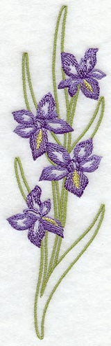 Iris Wedge Placket - Lg