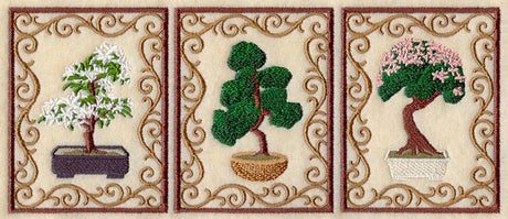 Bonsai Tree Triptych